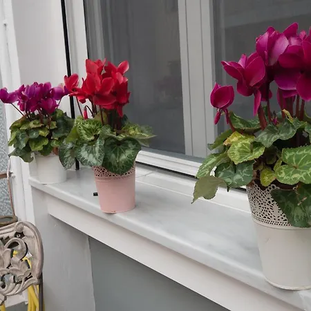 Apartment Corinth Daire Corinth